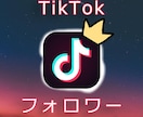 TikTok フォロワー5000人増加します 安全の拡散｜TikTokフォロワー｜ティックトック イメージ1