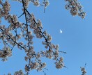 お相手様の好きなタイプを視させていただきます 気になるあの人の好みに近づきたい！そんな方におすすめです！ イメージ1
