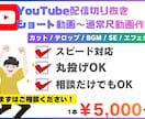 YouTubeチャンネルの切り抜き動画を作成します テンポよく最後まで見てもらえるショート動画を作ります！ イメージ1