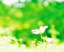 リーダー・管理職の悩み お聴きします 抜擢されたけれど、なんだか自信がないあなたへ イメージ3