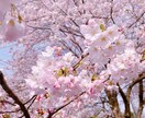 保育士14年目が0歳〜6歳の悩み相談にのります 現場経験14年。3人の子育て中。発達や発育の相談にのります! イメージ1