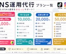 初心者向けSNS運用代行まるっとします 投稿が止まる悩みを、運用代行で解決！ イメージ2