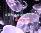 お試し☆クラゲの癒し体験できます まずは軽くお話から〜☆誰でも気軽にお話ください！ イメージ1