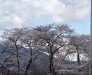 あなたの話をとことん聴きます 心のモヤモヤは吐き出すと軽くなりますよ（秘密厳守致します） イメージ4