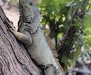 15カ国旅した世界中の写真提供します 他の国もたくさんあるので是非お声掛けください。 イメージ6