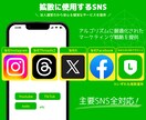 LINE公式アカウントの友だちを200人増やします ★複数のSNSで拡散します→アルゴリズムによる効果絶大 イメージ5
