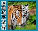 プロが画像加工・修正(レタッチ)いたします 写真館での業務経験を活かして画像加工いたします イメージ1
