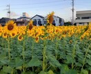 今、何が必要ですか？　明日について話し合います あなたの長い旅は終わりましたか？　旅はまだ続きますか？ イメージ1
