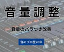 音量バラバラな音声を聞きやすく整音します 音のプロ歴20年。音量差を整え聞きやすい音声に仕上げます イメージ1