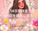 14日間伴走、明日を陽気にする集中サポートます 14日間、あなたの変わりたいに本気で向き合います イメージ1