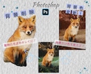 画像編集、加工承ります 修正は無料で何度でもOK!!画像編集行います！！ イメージ3