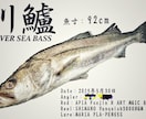 デジタル魚拓作成します 釣った魚の写真からデジタル魚拓を作成。携帯で保存可能 イメージ3