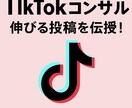 3ヶ月で4.3万の私が貴方のTikTok伸ばします 3ヶ月で4.3万人フォロワーの私が貴方のTikTokを分析！ イメージ1