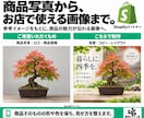 Shopifyのストア構築・改修に対応します 部分改修３万円〜／新規構築１５万円〜。画像制作も対応 イメージ3