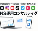 SNS運用コンサルティングします 「売上」「集客」「ファン化」につなげるSNS戦略をあなたに。 イメージ1