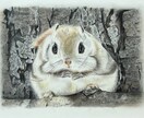 写真からペットイラストを色鉛筆で手描きします 写真とは違う温もりを優しいタッチで、心を込めて制作します イメージ1