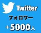 Twitterフォロワー5000人増やします Botは使用しません！ポリシー違反もありません！ イメージ1