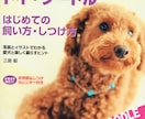 愛犬の困った！ミッシーの総合診療科で解決目指します 新規の相談者向け／【診断書】発行致します イメージ2