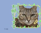 あなたの大切なペットのLINEスタンプを作ります 可愛くて使いやすいLINEスタンプを作ります！ イメージ2