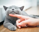 霊視タロット鑑定 心に寄り添った鑑定をお届けします 心を軽く出来るように…現状から少し先の未来を視ていきます。 イメージ4