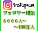 Instagramフォロワー増加を扶翼します 3ヶ国の合同チームでお客様のアカウントを全力で宣伝します イメージ1