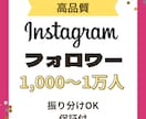 Instagramフォロワー1000人〜増やします インスタグラム振り分け可能♡保証・おまけあり イメージ1