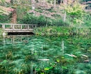 バズり経験あり！！！素敵な写真に仕上げます ご要望通りのレタッチで写真をさらに素敵なものにします♪ イメージ4