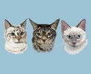 あなたの猫さんのイラストをかきます ＊お名前いりのすてきな似顔絵＊ イメージ1