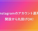 instagramのアカウント運用代行をします Instagramアカウント開設から企画・運用まで丸投げOK イメージ1