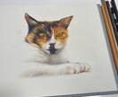 ペットの似顔絵を描きます 色鉛筆画またはボールペンの点描画で写実的なペットの似顔絵作成 イメージ2