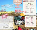 40代現役ママ兼園長が楽しく親子スクール致します トイトレ等、、幼稚園前に取り組むと安心の選べる親子スクール イメージ3