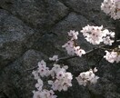 SNSやブログで使える雰囲気のいい写真を提供します カフェ・風景写真素材の“雰囲気のいい写真”をお届けします！ イメージ1