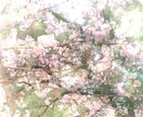 人間より長寿の❀桜の樹その精霊に貴方の幸せ聴きます 万物の一部である貴方♥桜の木からのメッセージ聴いてみませんか イメージ2