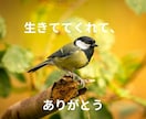 ひきこもり・生きづらさを抱えるあなたのお話聴きます 元当事者が聴くチャット相談【1日チャット・メッセージ無制限】 イメージ3