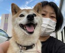 オンラインレッスンで基礎から英語を指導します 英文法から使える英語へ、書いて、声に出す学習法です イメージ1
