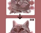 あなたのペットに色彩の魔法をかけます 写真では表現できない絵画ならではの魅力を盛り込みました！ イメージ2