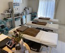 鍼灸を用いた治療、美容の仕方を教えます これから鍼灸師として働くのに必要な知識を教えます。 イメージ1