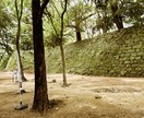 簡単な写真加工致します お気軽にできるように心がけております。 イメージ2