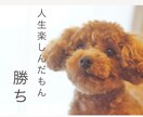 2人で何でもお話し聞きます 気軽にどうぞ！ゆかいな2人がお話しします♡ イメージ1