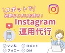 Instagramでいいねやコメント代行します オンラインアシスタントにインスタの認知活動お任せしませんか？ イメージ1