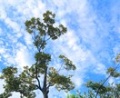 1分でも愚痴・お悩み、世間話な〜んでもお聞きします 愚痴/職場/育児/恋愛/不安/習い事/学習/受験/副業 イメージ3