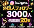 Instagram✦フォロワー３千人増加します ♥リール再生回数１００００回おまけ付き♥インスタ３０００人 イメージ2