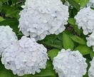 毎日がつまらない。そんな時、話し相手になります どんな話題でもOK.57歳のおじ様と話してみませんか？ イメージ4