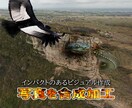 あなたの写真を合成加工いたします オシャレな画像やインパクトのある画像を作成します イメージ3