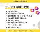 Instagram運用を丸投げ！1ヶ月代行します 成果にこだわるプロによる、本気のアカウント運用 イメージ3