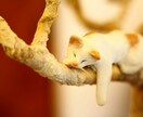 撮影代行します 撮影代行します画像の素材が欲しい方 イメージ2