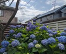 とにかく、お話、伺います 心に余裕がない、モヤモヤしているお話、聞かせてください イメージ3
