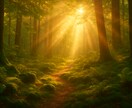 人も動物も霊視します 霊視で記憶と身体の声を読み解く イメージ2