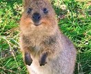 今日笑いましたか？元ホステスが電話でお話を伺います 英語もOK！ちょっと聞いてほしい心のモヤモヤ吐き出しましょう イメージ4