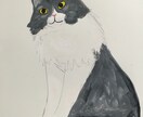 猫ちゃんのイラスト描きます あなたの愛猫をちょっとオシャレなイラストにいたします！ イメージ3